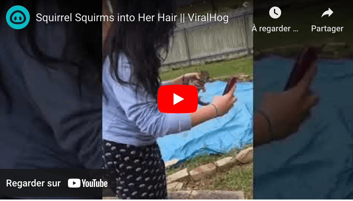 Capture d’écran 2023-09-05 à 13.24.53.png