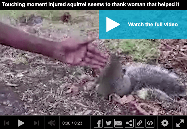 Capture d’écran 2023-09-06 à 11.27.57.png