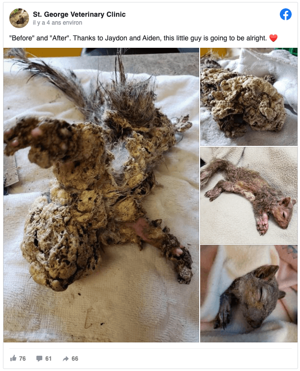 Capture d’écran 2023-09-06 à 12.02.40.png