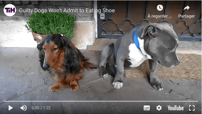 Capture d’écran 2023-10-23 à 10.52.44.png