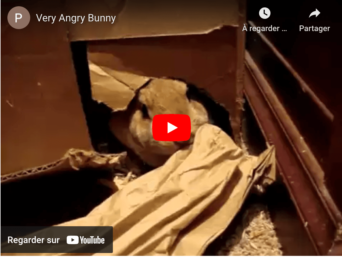 Capture d’écran 2023-10-25 à 14.01.15.png