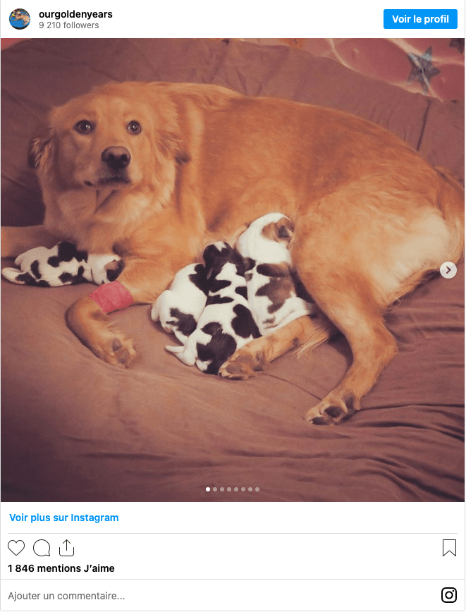 Capture d’écran 2023-11-16 à 11.05.51.png