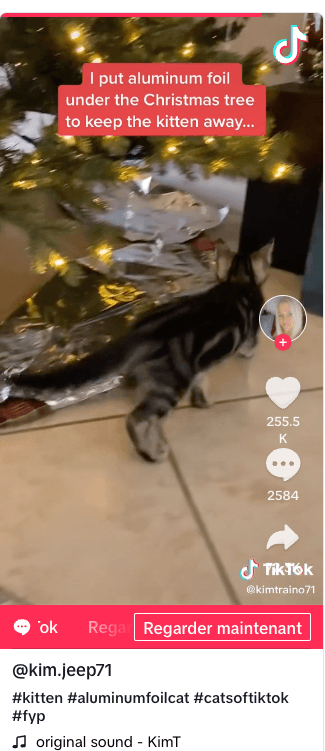 Capture d’écran 2023-11-21 à 13.48.43.png