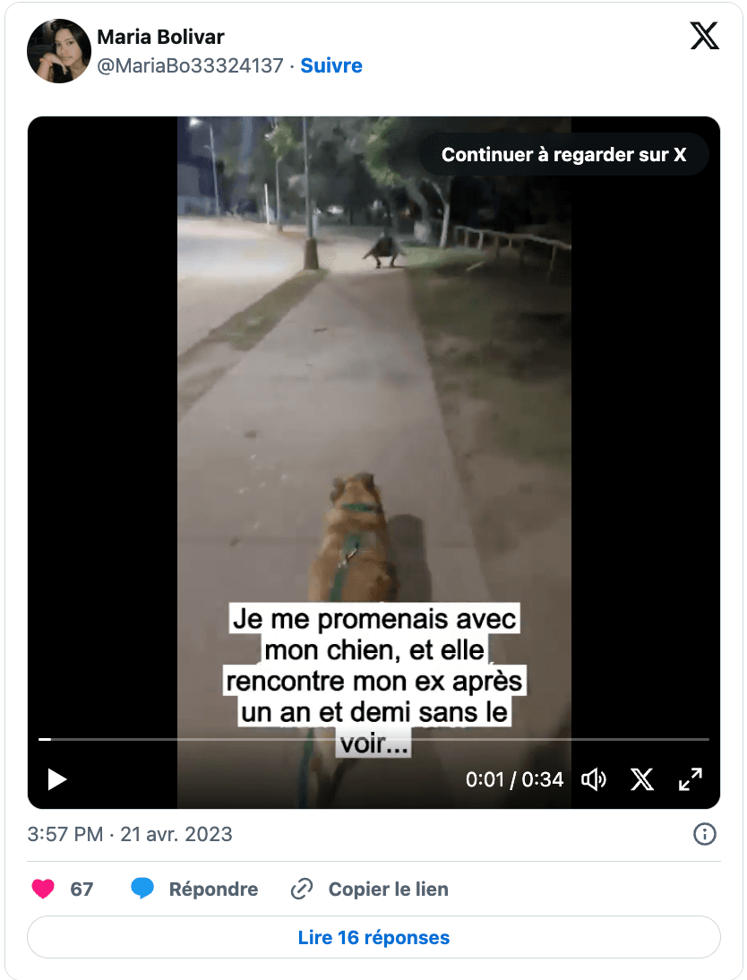 Capture d’écran 2024-02-12 à 10.34.27.png