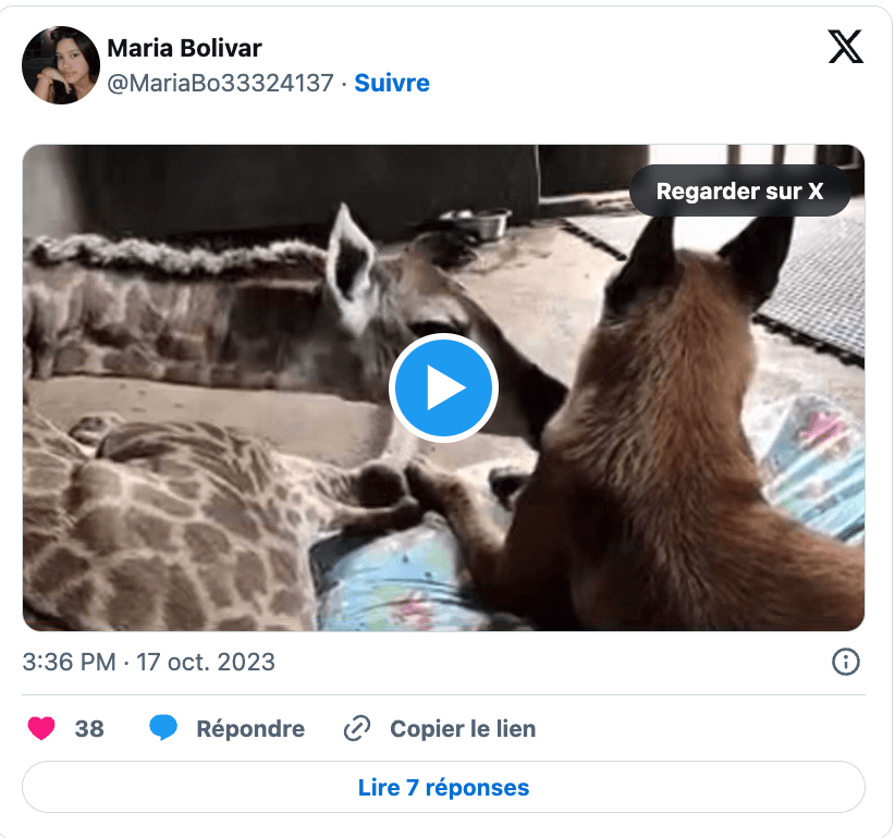 Capture d’écran 2024-02-16 à 16.35.10.png