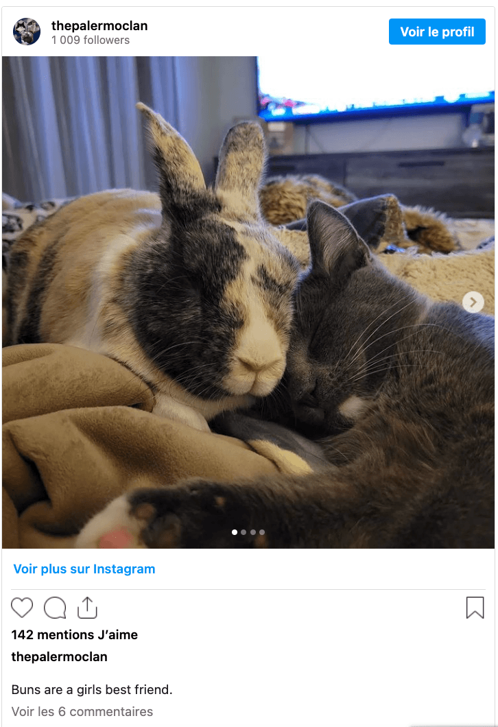 Capture d’écran 2024-02-26 à 14.52.24.png