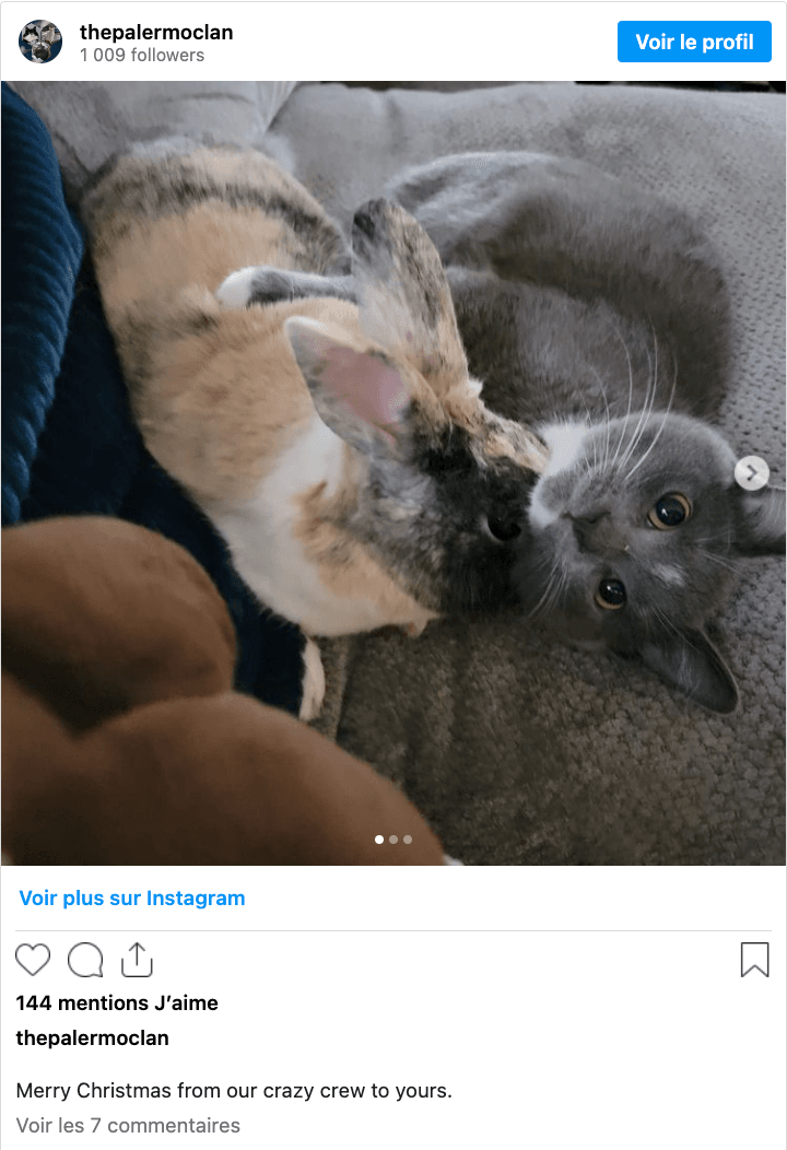 Capture d’écran 2024-02-26 à 14.57.23.png