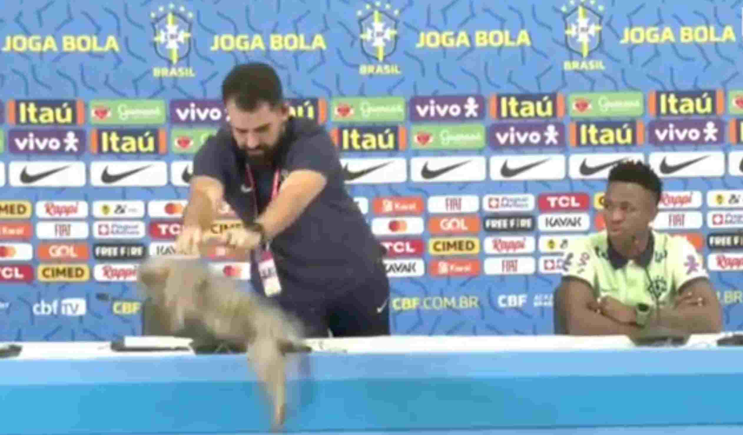 Capture d’écran 2024-02-27 à 01-compressed (1).jpg