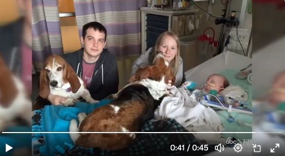 Capture d’écran 2024-03-07 à 16-compressed.jpg