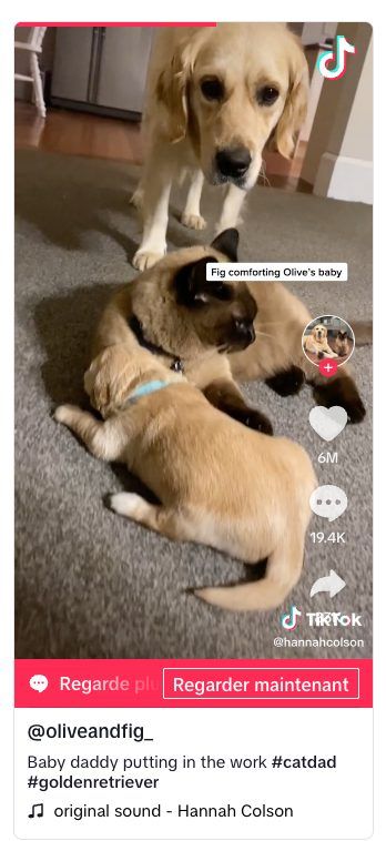 Capture d’écran 2024-03-13 à 14-compressed.jpg