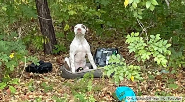 Capture d’écran 2024-03-14 à 10-compressed.jpg