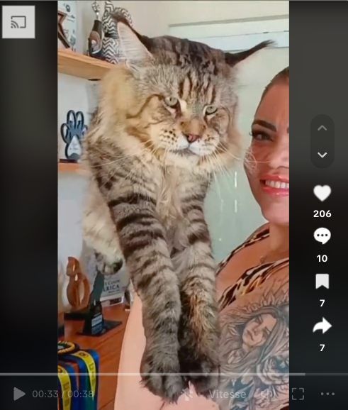 Capture d’écran 2024-03-20 à 11-compressed.jpg