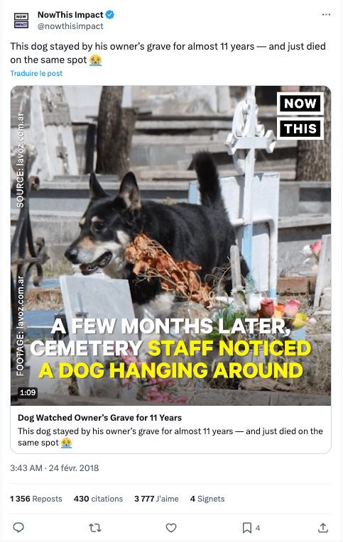 Capture d’écran 2024-03-21 à 16.32.24.png