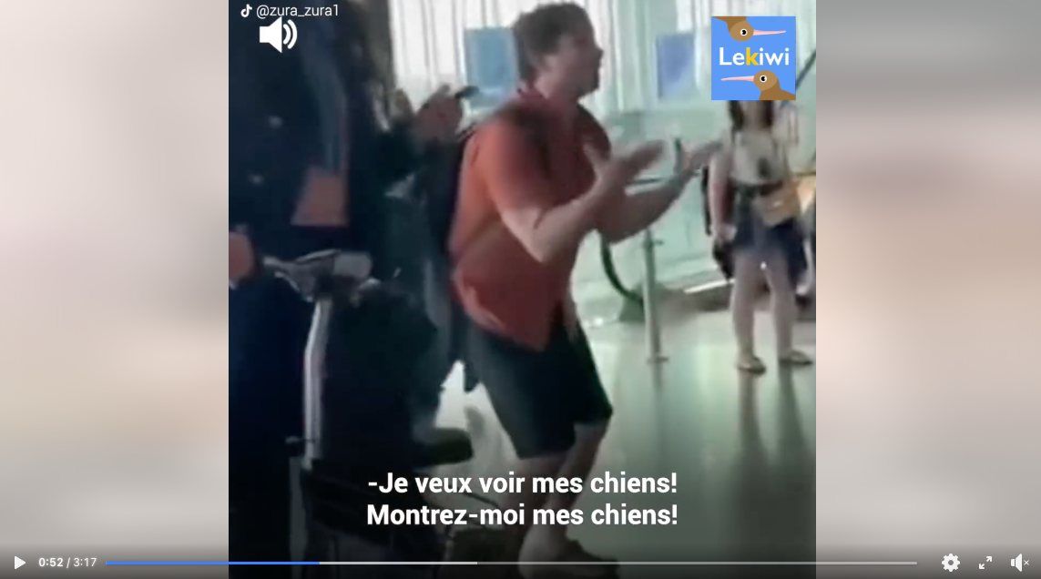 Joao Paulo de Costa ému retrouve ses quatre chiens à l'aéroport, une scène de joie et de soulagement