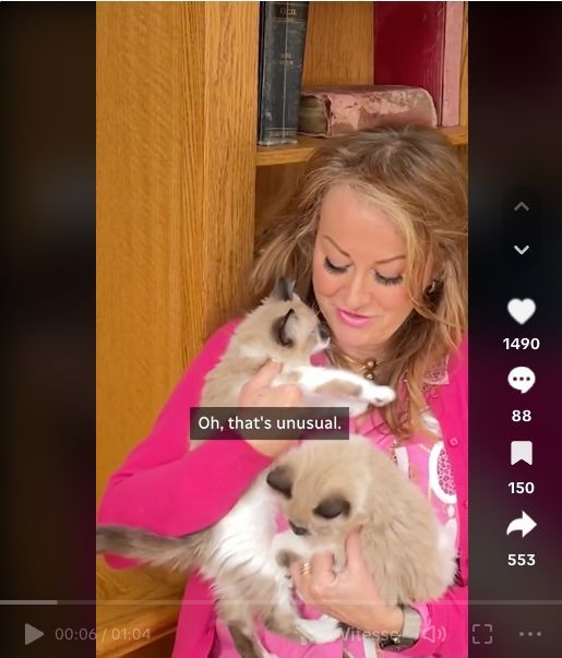 Kris Stewart à cloner son chat ragdoll