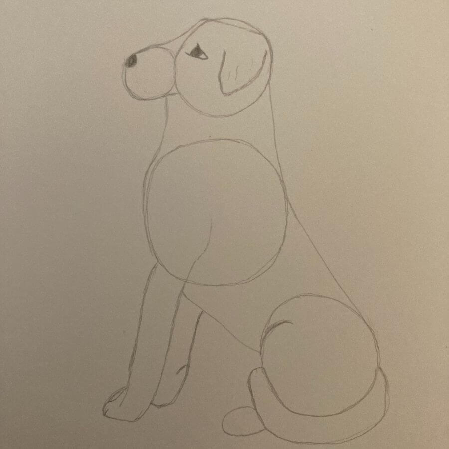 Draw dog3.jpg