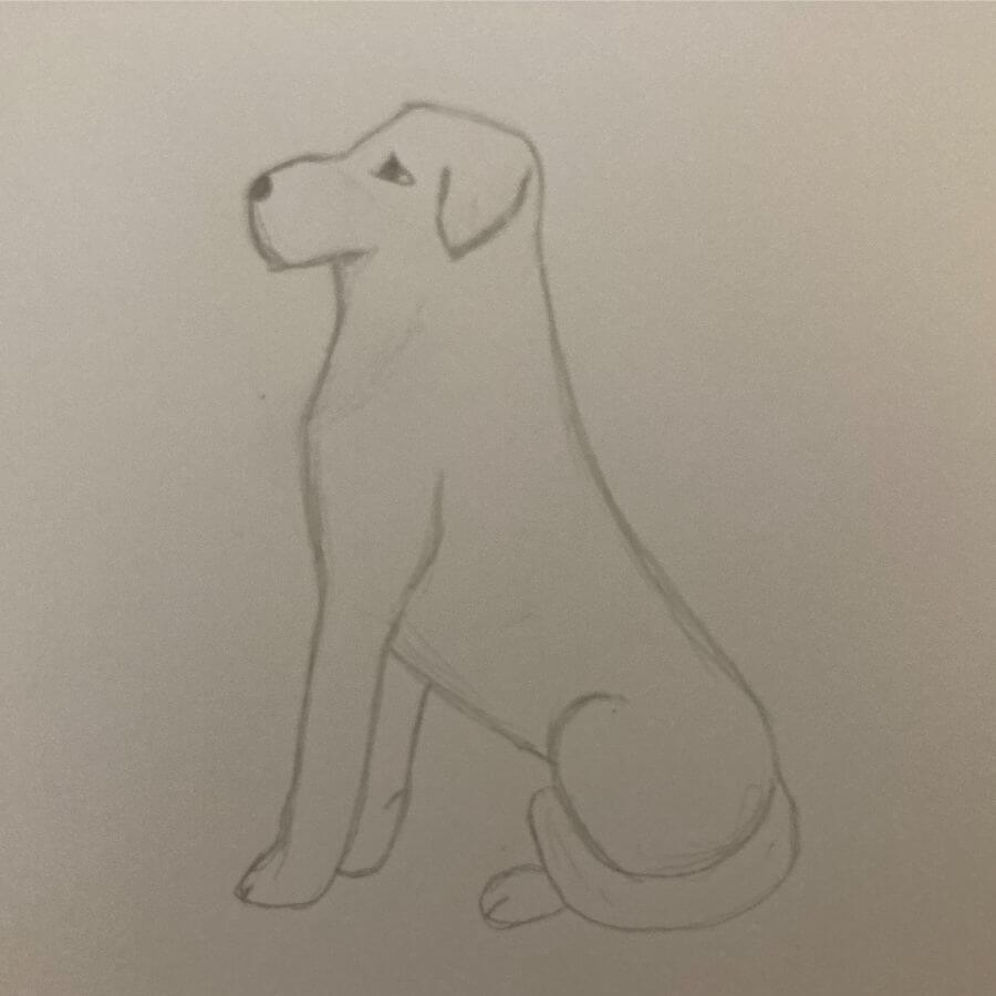 Draw dog4.jpg