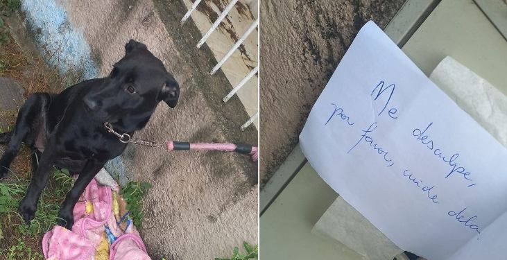 Lua, la chienne abandonnée