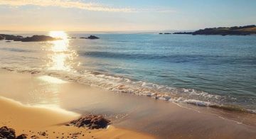 Plages d'Ille-et-Vilaine bretage chien