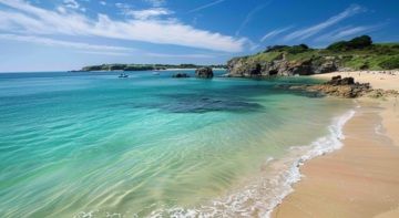 Plages du Morbihan bretagne chien