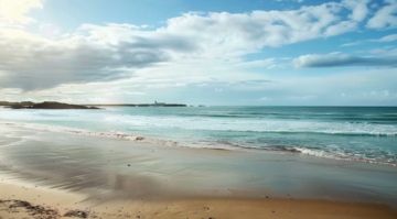 plage de l’Anse de Dinan bretagne chien