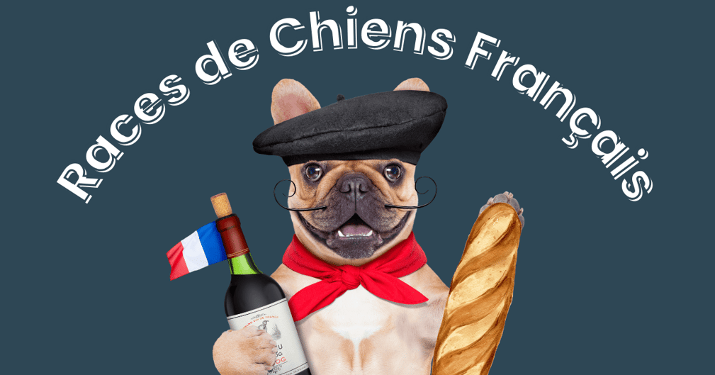 chien français