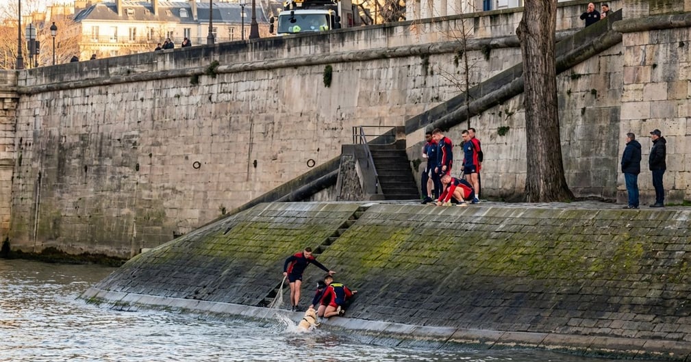 Des pompiers de Paris secourant un petit chien mouillé sur les quais de la Seine sous le regard soulagé de sa maîtresse.