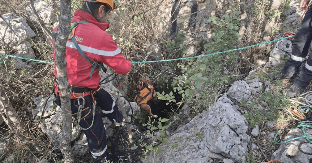 Des pompiers spécialisés utilisent des cordes pour sauver un chien coincé au fond d'une crevasse rocheuse profonde.