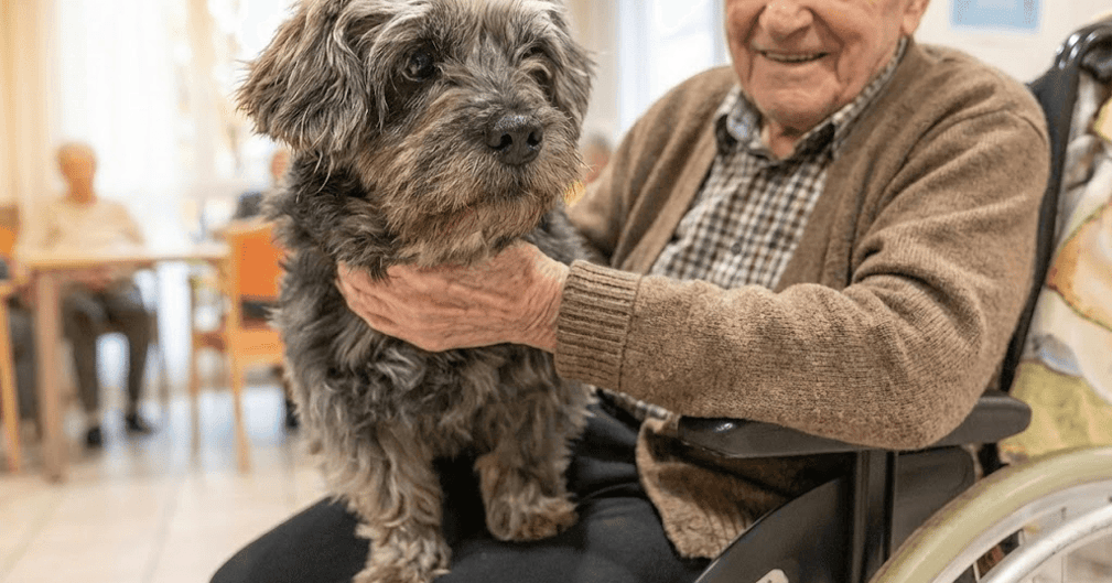 Un petit chien joyeux interagissant avec une personne âgée dans un salon chaleureux d'EHPAD.
