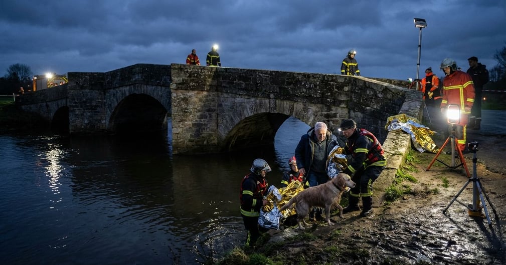 Un chien mouillé et tremblant enveloppé dans une couverture après avoir été sauvé des eaux (image d'illustration)
