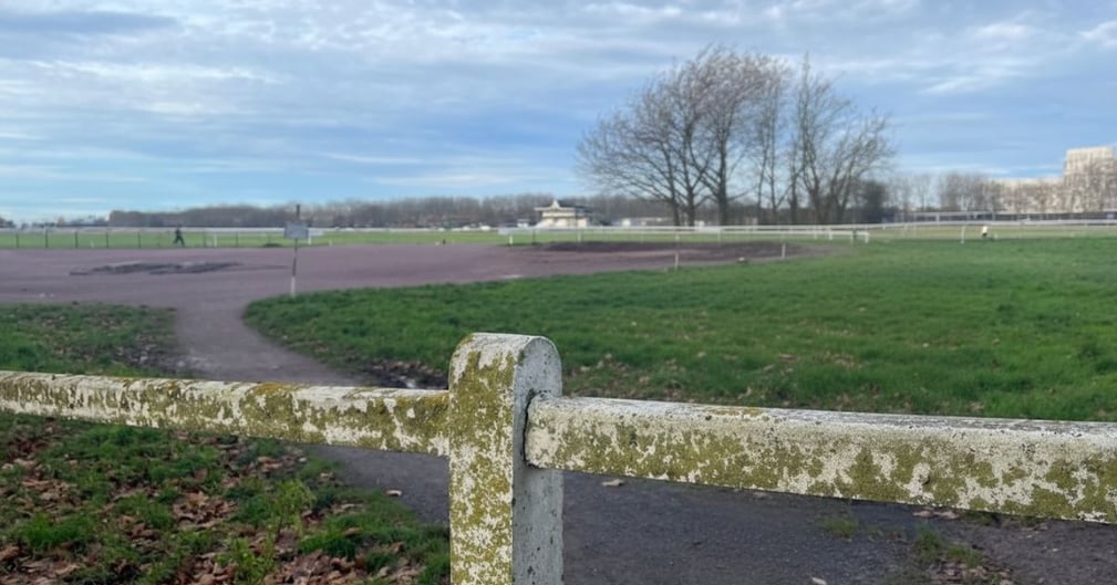 Pétition Caen : chiens sans laisse à la Prairie menacés ?