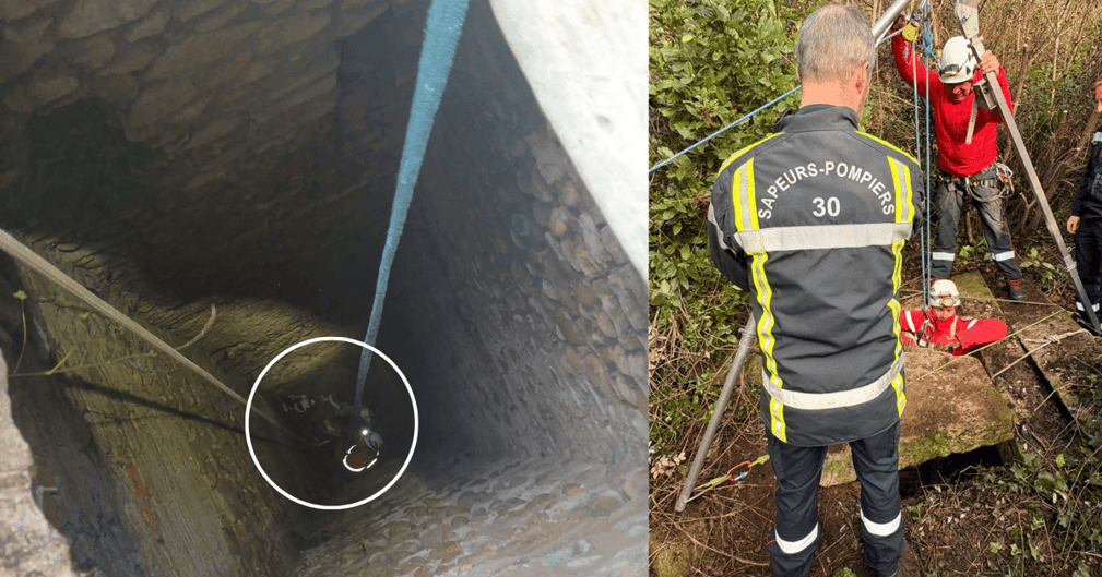 Un pompier spécialisé remontant un chien sain et sauf du fond d'un puits profond avec des cordes.