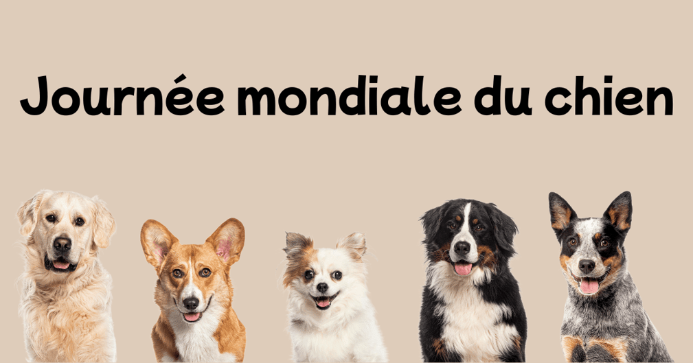 Un chien heureux célébré en famille lors de la Journée mondiale du chien, symbolisant complicité et émotion.