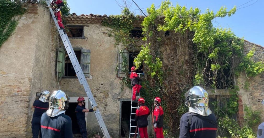 Chat secouru des décombres par les pompiers de l'Ariège après l'effondrement d'une toiture à Ségura