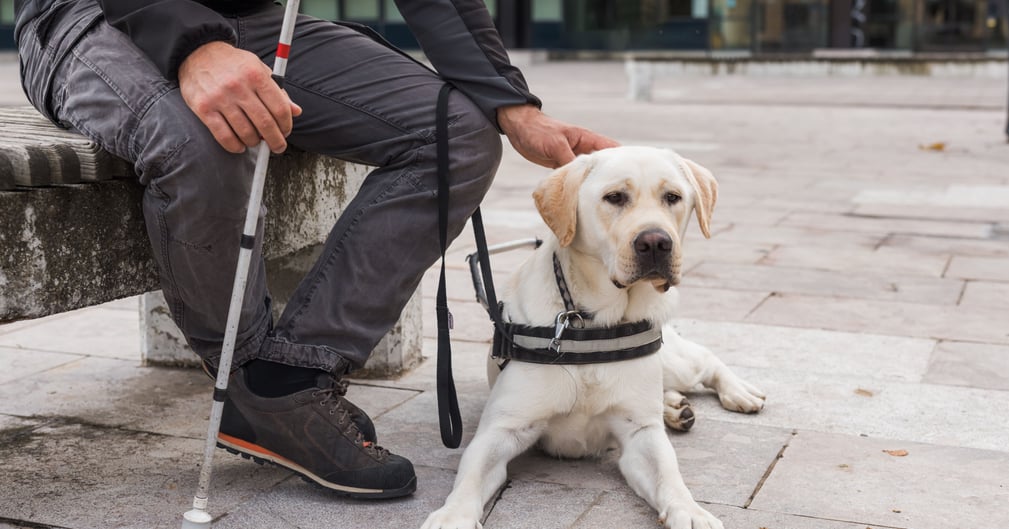 Un homme malvoyant accompagné de sa chienne guide devant un restaurant, expression de détermination et frustration