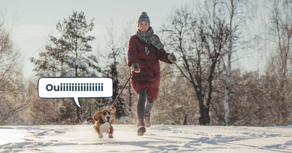 Promener son chien en hiver