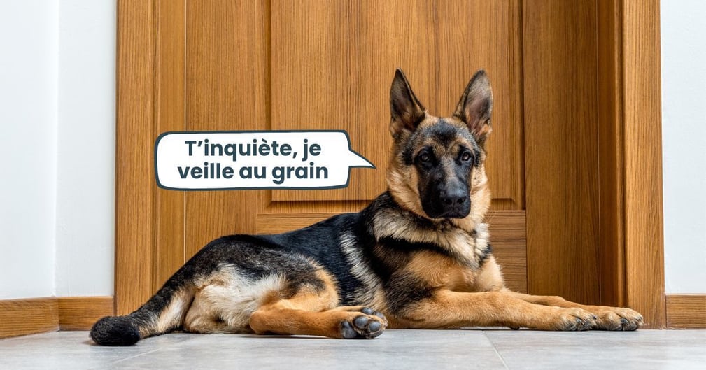 chien de garde