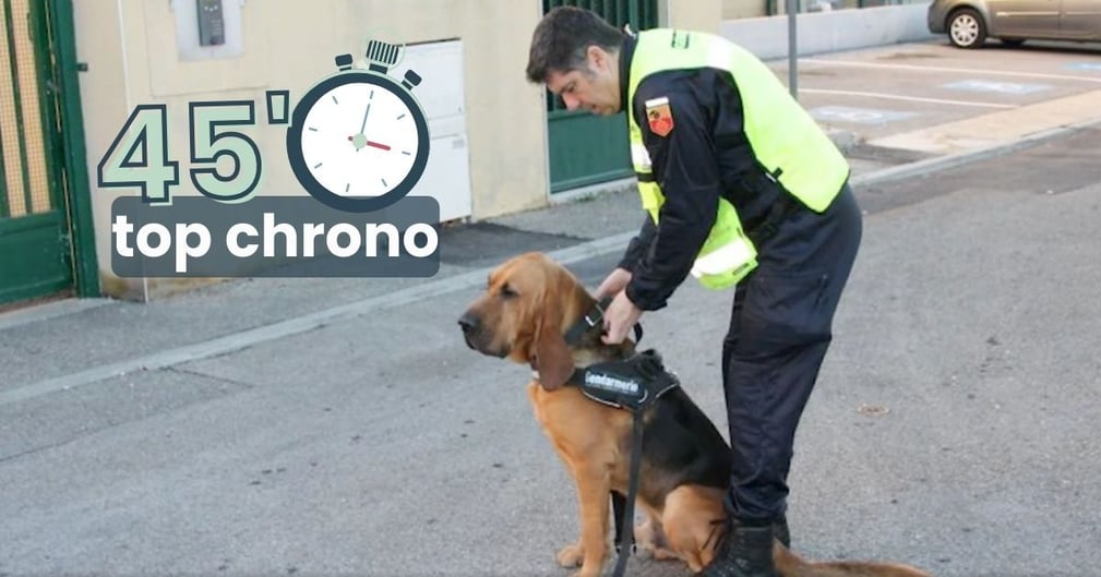 Le chien et son maître travaillant pour la brigade cynophile