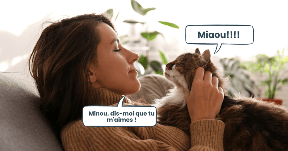 chat et langage humain