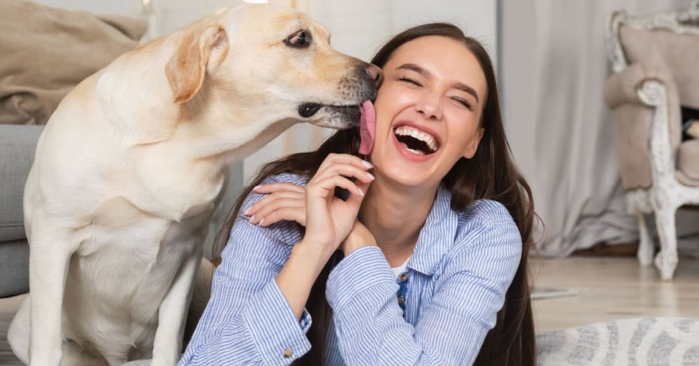 pourquoi mon chien me lèche