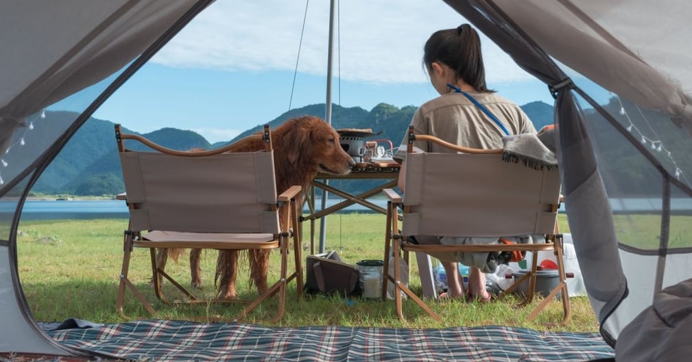 chien camping