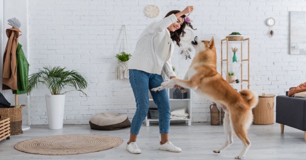 Une femme joue avec un chien