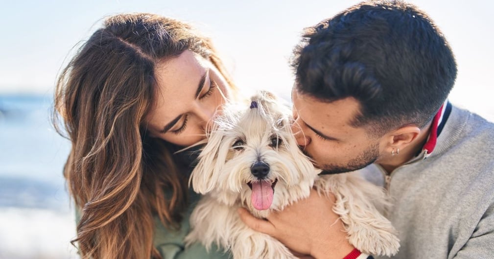 Les chiens préfèrent-ils les femmes ou les hommes ?