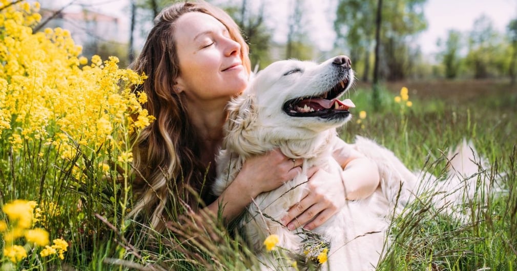 chien calme et affectueux