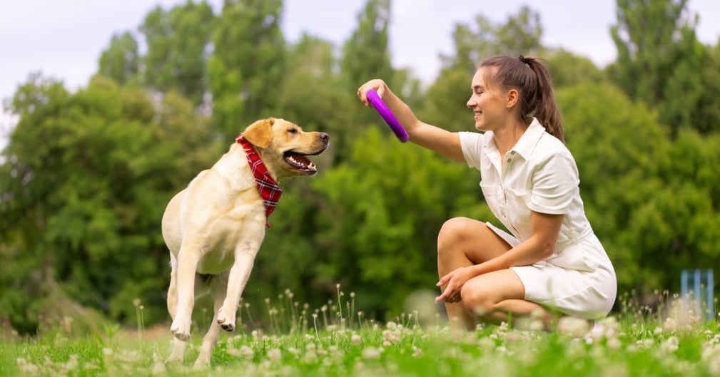 Jouer avec son chien 