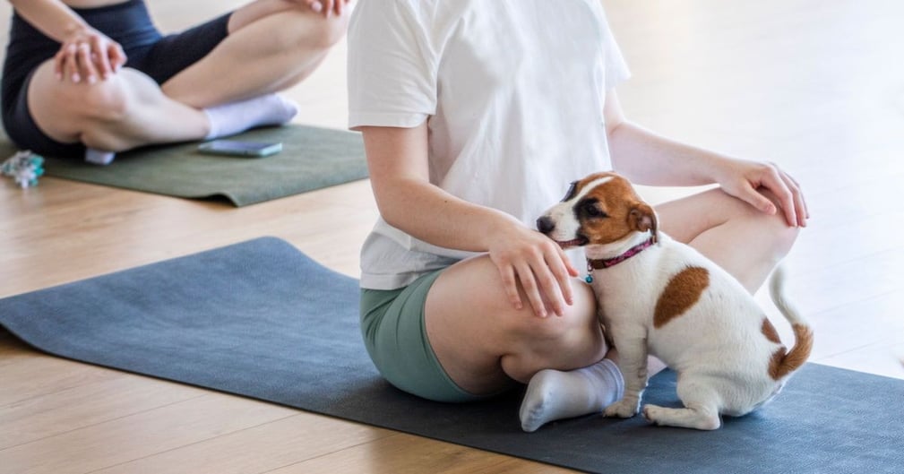 Puppy yoga 