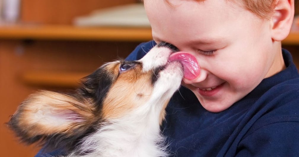 Pourquoi mon chien me lèche 