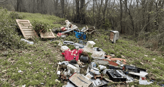 Chien seul retrouvé dans un dépôt sauvage à Lesparre-Médoc