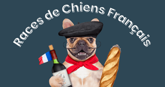 chien français