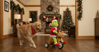 Un Golden Retriever mécontent regarde un jouet Grinch télécommandé s'enfuir avec sa peluche Rudolph.
